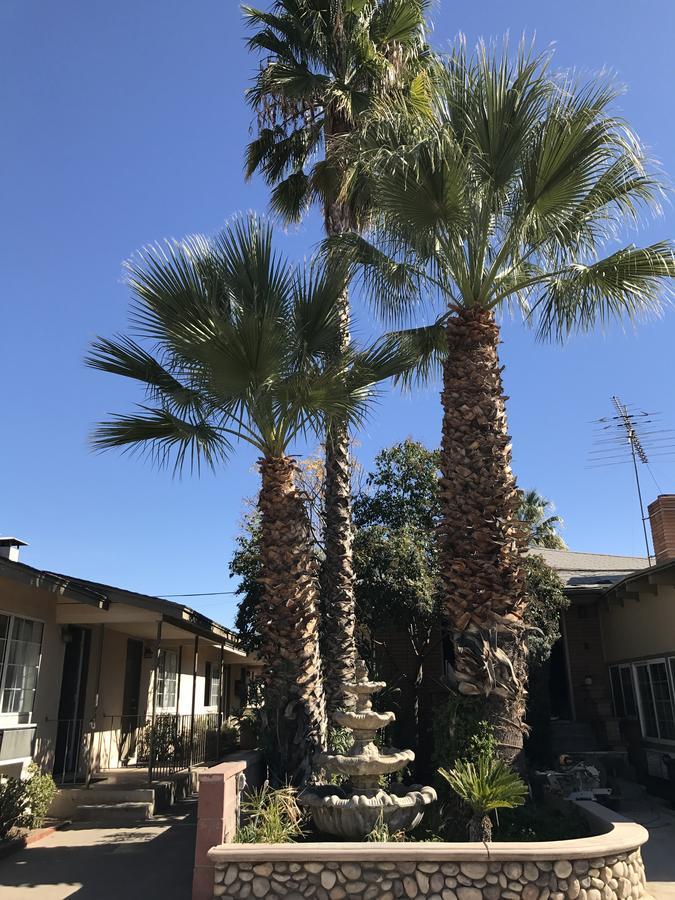 Elsinore Hotsprings Motel 埃尔西诺湖 外观 照片